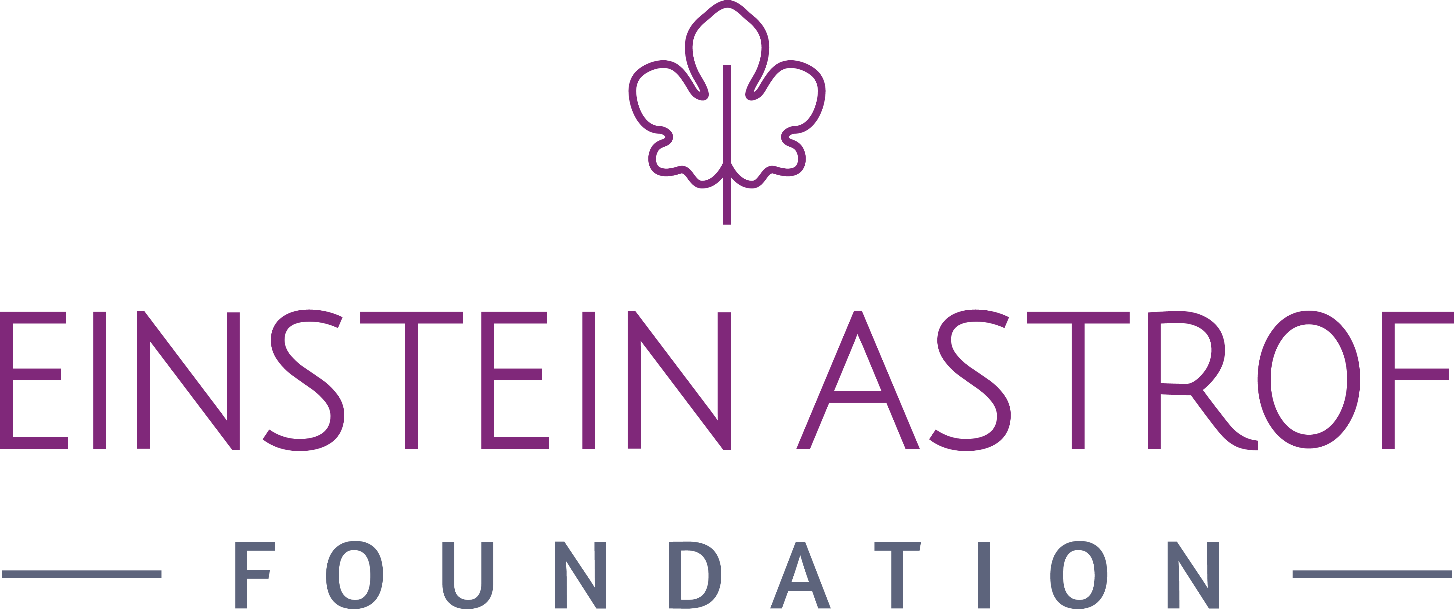 Einstein Astrof Foundation